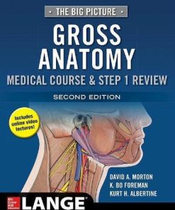 Gross Anatomy The Big Picture 2Nd