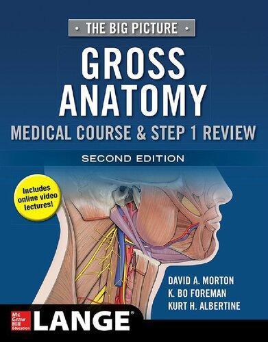 Gross Anatomy The Big Picture 2Nd