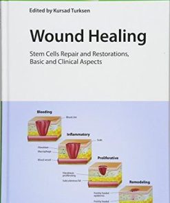 Wound Healing Stem Cells Repair And Restorations Basic And Clinical Aspects