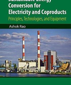 Sustainable Energy Conversion For Electricity And Coproducts Principles Technologies And Equipment