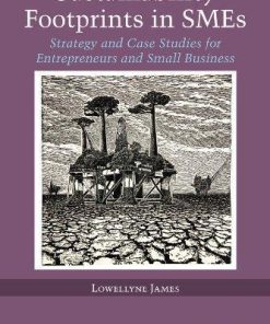 Sustainability Footprints In Smes Strategy And Case Studies For Entrepreneurs And Small Business