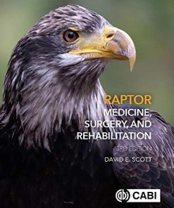 Raptor Medicine Surgery And Rehabilitation 3Rd