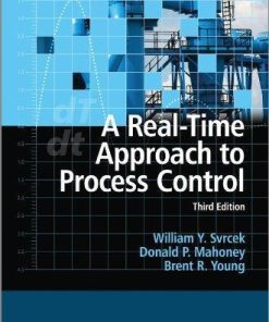 A Real Time Approach To Process Control 3Rd