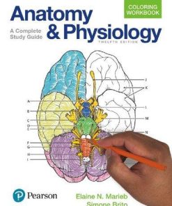Anatomy And Physiology Coloring Workbook A Complete Study Guide 12Th