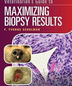 Veterinarians Guide To Maximizing Biopsy Results