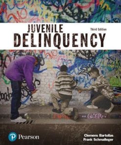 Juvenile Delinquency Justice Series 3Rd