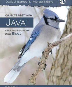 Objects First With Java A Practical Introduction Using Bluej 6Th