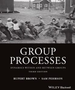Group Processes Dynamics Within And Between Groups 3Rd