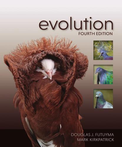 Evolution 4Th
