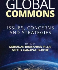 Global Commons Issues Concerns And Strategies