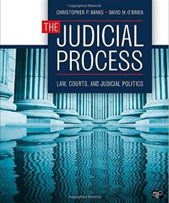 The Judicial Process Law Courts and Judicial Politics 8211 1st
