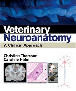 Veterinary Neuroanatomy A Clinical Approach 8211 1st