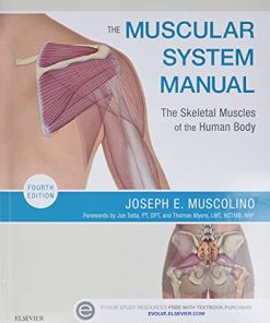 The Muscular System Manual The Skeletal Muscles of the Human Body 8211 4th
