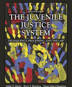 The Juvenile Justice System Delinquency Processing and the Law 8211 8th