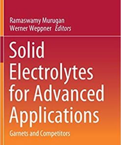 Solid Electrolytes for Advanced Applications Garnets and Competitors