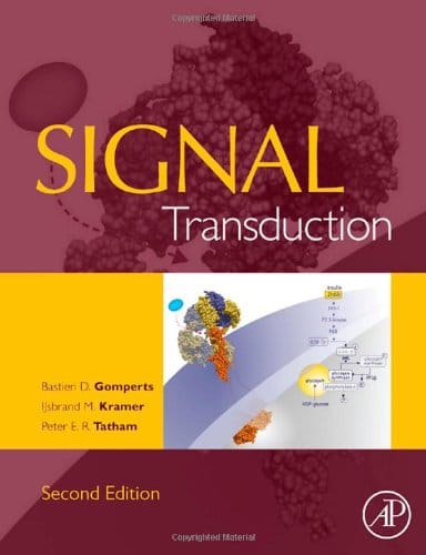 Signal Transduction Second 8211 2nd