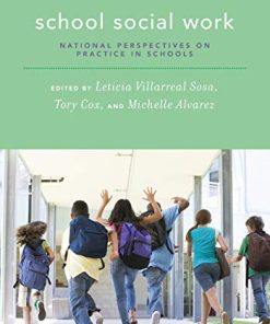 School social work national perspectives on practice in schools 8211 1st