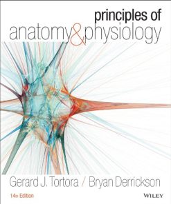 Principles of anatomy 038 physiology 8211 14th