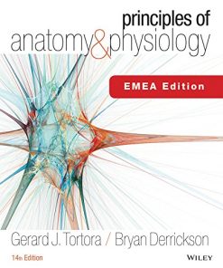 Principles of anatomy 038 physiology