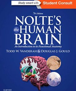 Noltes The Human Brain An Introduction to its Functional Anatomy 8211 7th