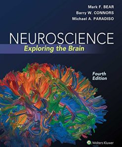 Neuroscience Exploring the Brain 8211 4th