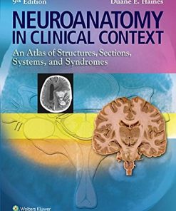 Neuroanatomy in Clinical Context An Atlas of Structures Sections Systems and Syndromes 8211 9th