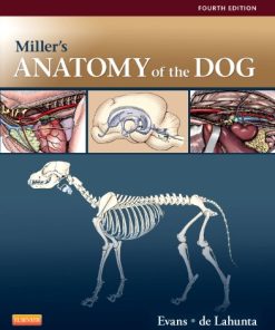 Millers Anatomy of the Dog 8211 4th