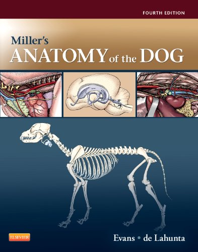 Millers Anatomy of the Dog 8211 4th