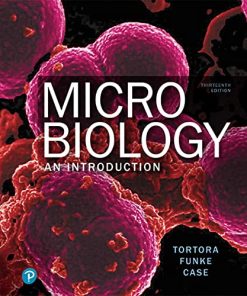 Microbiology an introduction