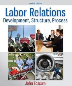 Labor Relations Development Structure Process 12