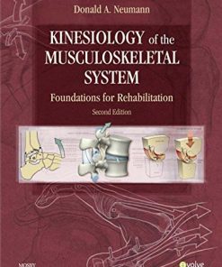 Kinesiology of the musculoskeletal system foundations for physical rehabilitation 8211 2nd