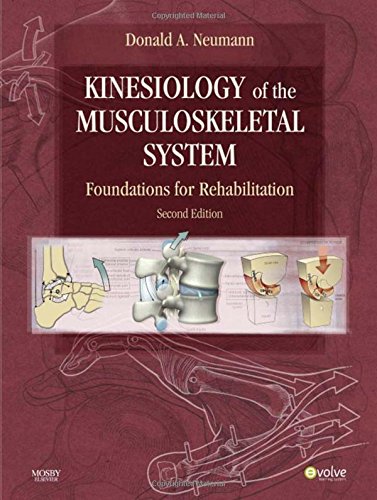 Kinesiology of the musculoskeletal system foundations for physical rehabilitation 8211 2nd