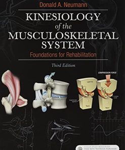 Kinesiology of the Musculoskeletal System 3rd 8211 3rd