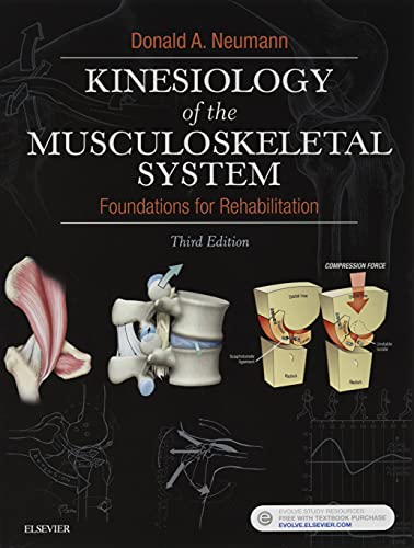 Kinesiology of the Musculoskeletal System 3rd 8211 3rd