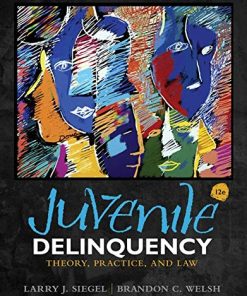 Juvenile Delinquency Theory Practice and Law