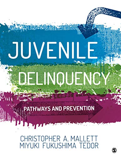 Juvenile Delinquency Pathways and Prevention 8211 1st