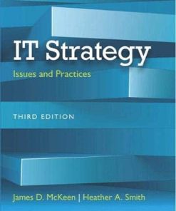 IT strategy issues and practices