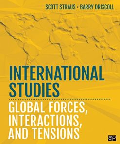 International Studies A New Introduction 8211 1st