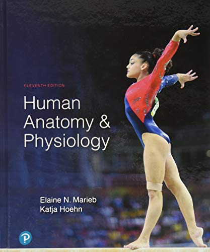 Human Anatomy Physiology 11th Marieb and Hoehn