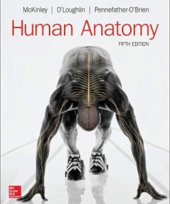 Human anatomy