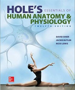 Holes Essentials of Human Anatomy 038 Physiology