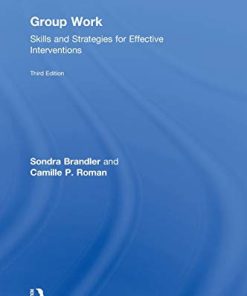 Group Work Skills and Strategies for Effective Interventions 8211 3rd