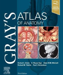 Gray8217s Atlas of Anatomy Gray8217s Anatomy