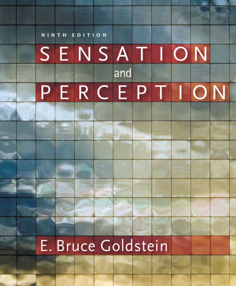 Sensation and Perception 9th 9E Bruce Goldstein