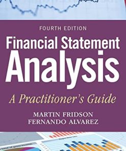 Financial Statement Analysis A Practitioner8217s Guide