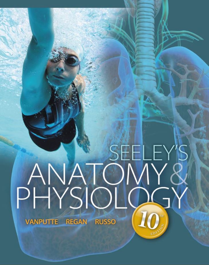 Seeley8217s Anatomy and Physiology 10th 10E