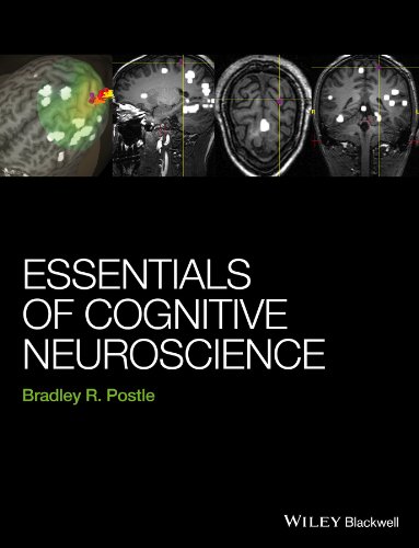 Essentials of Cognitive Neuroscience 8211 1st