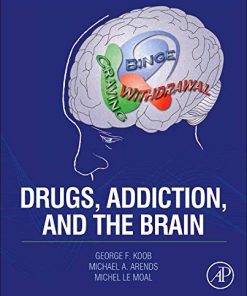 Drugs Addiction and the Brain 8211 1st