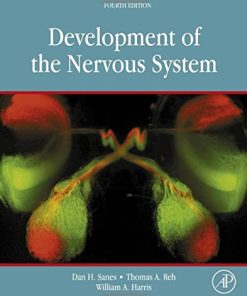 Development of the Nervous System