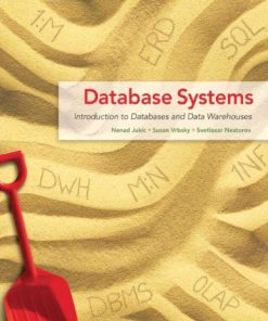 Database Systems Introduction to Databases and Data Warehouses by Nenad Jukic